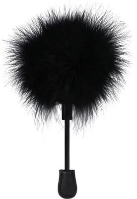 Image de Chatouilleuse de plumes