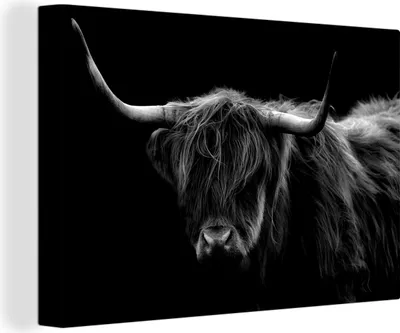 Produktbild von Wanddeko 120x80 cm - Schottisches Hochlandrind - Hörner - Schwarz - Tiere - Natur - Wildtiere - Kuh, Deko Wohnzimmer, Leinwand Bilder