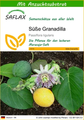 Produktbild von SAFLAX - Süße Granadilla - Passiflora ligularis - 20 Samen - Mit keimfreiem Anzuchtsubstrat