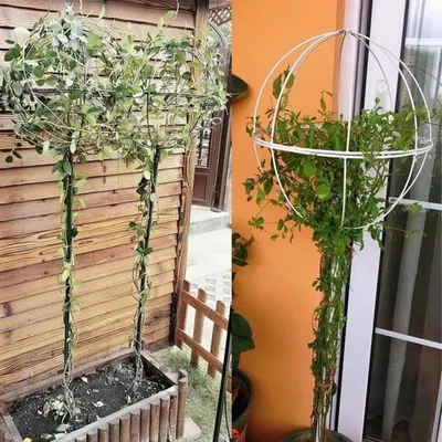 Zdjęcie produktu dla RealG RC-K-982 Metalowa podpórka dla pnączy 50 x 10 cm, biała