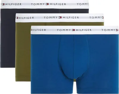 Produktbild von Tommy Hilfiger Slips