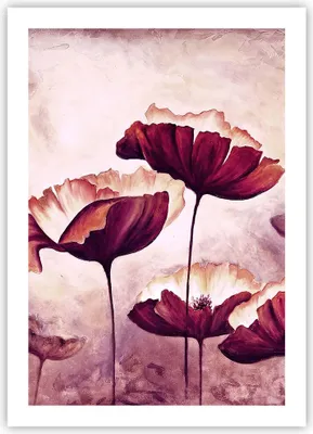 Produktbild von Poster - Poster ohne Rahmen - Mohn Blume Wiese - 50x70 cm - Wand Bild - Wanddeko - Wandbilder - Kunstposter - Wandposter - Bilder - Kunstdruck - Wanddekoration - Wandbild - P2XPA50x70-3934