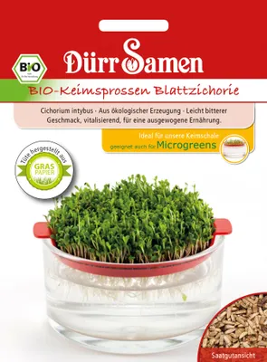 Artikelbild 1 von 'Bio-Keimsprossen Blattzichorie' aus der Kategorie Keimsprossen