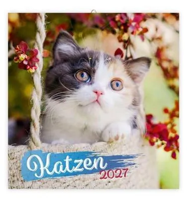 Produktbild von TRÖTSCH - Broschürenkalender Katzen 2027