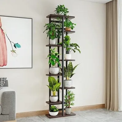 Image de Supports pour plantes - Supports pour plantes