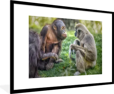 Produktbild von MuchoWow® MuchoWow® Gerahmtes Poster Affen - Tiere - Familie 90x60 cm - Poster mit zchwarzem Bilderrahmen - Wanddekoration - Fotos