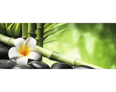 Produktbild von Glasbild Flowers Stones Bamboos III GLA1846 125x50 cm