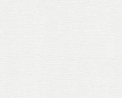 Produktbild von A.S. Création Vliestapete Meistervlies Pro Protect 2, weiss, überstreichbar, 10,05 m x 0,53 m, 250513, 2505-13
