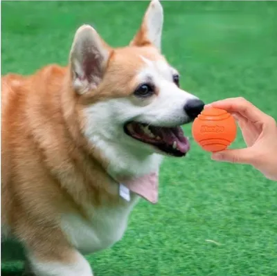 Produktbild von Jumadas - „Gummi-Hundeball-Spielzeug-für-Haustiere“