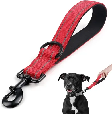 Produktbild von Hundeleine rot, reflektierend, für Training, mittlere und große Hunde