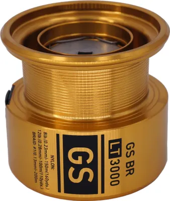 Image de DAIWA bobine de rechange pour moulinet de pêche 20 GS BR LT, 5000-C, frein arrière, 19144-500