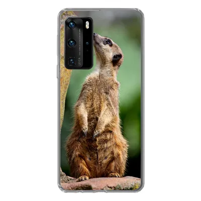Produktbild von MuchoWow® Handyhülle Schutzhülle Hülle für Huawei P40 Pro Erdmännchen - Tier - Rock Silikon Softcase Handy Hülle - Schutz