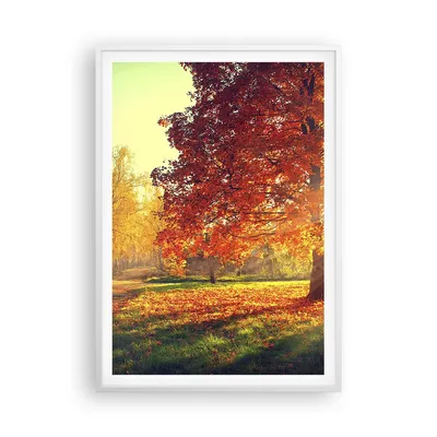 Produktbild von Gerahmtes Poster - Weißer Rahmen - Park Herbst Baum - 70x100 cm - Wand Bild - Wanddeko - Wandbilder - Kunstposter - Wandposter - Bilderrahmen - Bilder - Kunstdruck - Wandbild - P2WPA70x100-3654