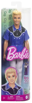 Obrázek produktu pro Barbie Fashionistas HRH25, Módní panenka, Muži, 3 rok/roky, Dívka, 300 mm, 174 g