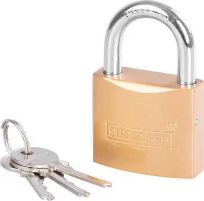 Image de Cadenas Strend Pro FT, 50 mm, dore