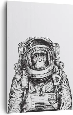 Produktbild von Bild auf Leinwand - Leinwandbild - Einteilig - Schimpanse Astronaut Zeichnung - 80x120cm - Wand Bild - Wandbilder - Leinwanddruck - Wanddekoration - Leinwand bilder - Wandbild - PA80x120-4312
