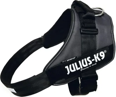 Produktbild von Julius-K9 Hundegeschirr anthrazit, Größe: 4