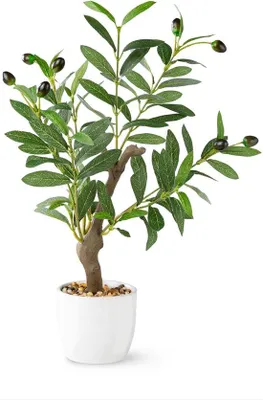 Produktbild von Kleine weiße Keramik-Olivenpflanze 42cm