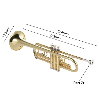 Image de Trumpet Bb Flat Brass Gold-paintted Exquisite Durable Musical Instrument with Mouthpiece Gloves Strap Case