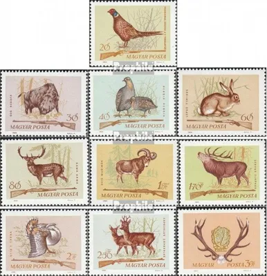 Produktbild von Briefmarken Ungarn 1964 Mi 2079A-2088A (kompl.Ausg.) postfrisch So.-Ausg. Jagdserie