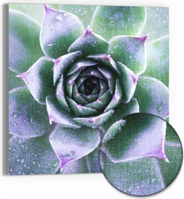 Produktbild von DEQORI Hybrid Leinwand Bild 30x30 cm 'Taufrische Symmetrie' Wandbild Glas flach modern