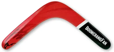 Immagine prodotto di Boomerang Fan Boomerang EAGLE legno destro 32cm 10m gamma giocattolo
