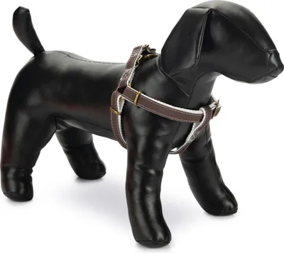 Produktbild von Designed by Lotte Virante - Hundegeschirr - braun - 35-60 cm