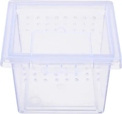 Obrázek produktu pro Terrario Insect Box Mini - terárium pro hmyz 6,5 x 6,5 x 4,5 cm Terrario