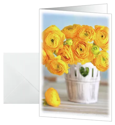 Obrázek produktu pro SIGEL DS104 10 SIGEL Grußkarten Ranunculus DIN A6