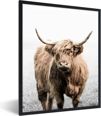 Produktbild von MuchoWow® Gerahmtes Poster Schottischer Highlander - Tiere - Hörner 60x80 cm - Poster mit Schwarzem Bilderrahmen Wandposter Rahmen Foto Bilder - Premium - Wanddeko Wohnzimmer