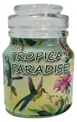 Produktbild von Adpal Duftkerze im Glas Tropical Dekorativ