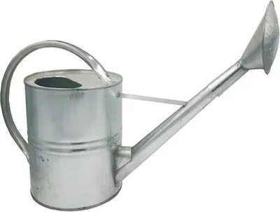 Produktbild von Metallgießkanne 10L - Feuerverzinkt - Rostfrei mit abnehmbarer Messingbrause