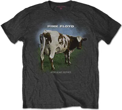 Image de Pink Floyd Atom Heart Mother Fade Charcoal Grey XL T-shirt