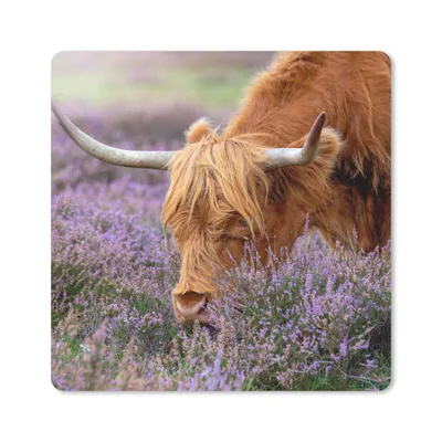 Produktbild von MuchoWow® Mauspad Mousepad Schottischer Highlander - Tiere - Heide 20x20 cm - Mousepads - Maus Mat - Pad - Mausunterlage - Desk Mat - Bureauartikeln