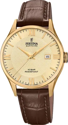 A close-up studio shot of a Festina men's watch.