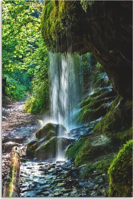 Produktbild von ARTland Wandbild Alu für Innen & Outdoor Moosbedeckter Wasserfall Größe: 80x120 cm