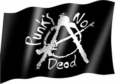 Produktbild von Punks not dead - Fahne