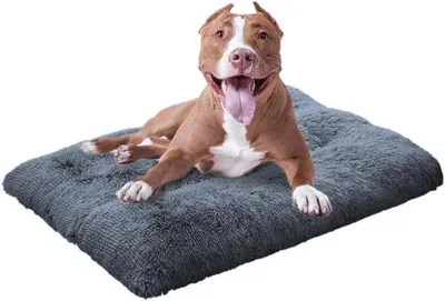 Image de Coussin pour chien - Lit anti-stress pour chiens de grande et moyenne taille avec fond antidérapant - Lavable en machine et confortable