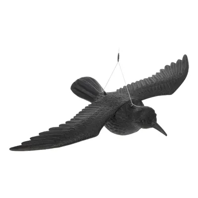 Produktbild von Plastikkrähe (fliegend) 57cm edm