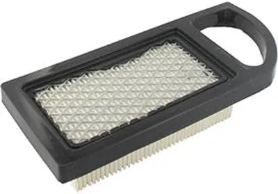 Image de Filtre à air adaptable pour Briggs & Stratton séries 21a900 et 21b900 – L : 184 mm, l : 79 mm, H : 40 mm. Remplace l'original : 004213, 613