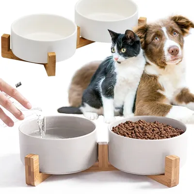 Produktbild von Tutumi Futter- Und Wassernapf Für Haustiere Weiß 331579