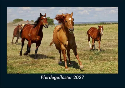 Produktbild von Pferdegeflüster 2027 Fotokalender DIN A5