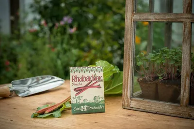 Produktbild von Die Stadtgärtner Rhabarber \Poncho\"-Saatgut | Ideal für fruchtige Desserts, Süßspeisen, Kuchen und Marmeladen | Leicht keimende Samen"