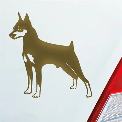 Produktbild von Auto Aufkleber Zwergpinscher Hund Dog Animal 10x10 cm Gold Sticker Heckscheibenaufkleber