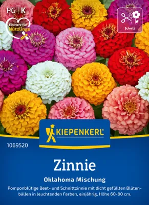 Produktbild von Kiepenkerl Zinniensamen Oklahoma Zinnia elegans 50 Pflanzen