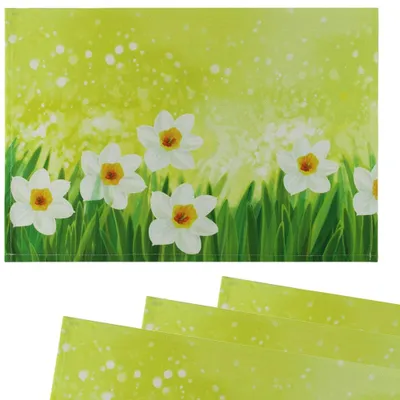 Produktbild von Tischsets Platzsets MOTIV Ostern Osterglocken Blumen 4er