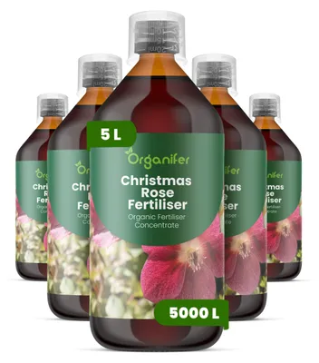 Produktbild von Weihnachtsrose Flüssigdünger 5x1L – 3-4-3 NPK – Flüssigdünger Für Blühpflanzen – Für Zuverlässige Blühzyklen – Organifer
