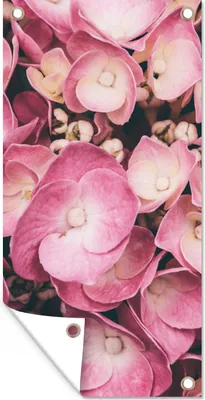 Produktbild von MuchoWow® 30x60 cm Outdoor-Poster Gartendeko Sichtschutz Garten Poster für den Garten  Nahaufnahme rosa Hortensien
