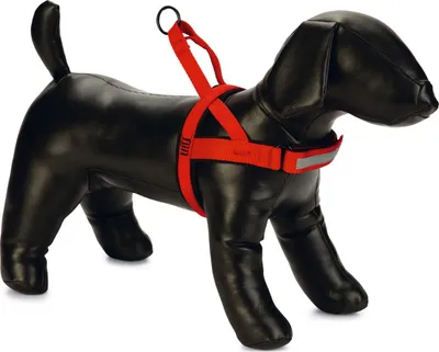 Produktbild von Beeztees Parinca Premium - Hundegeschirr - Nylon - rot - 32-42 cm x 20
