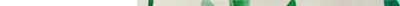 Produktbild von Coloray Fototapete 250x104 cm Latextapete Magicstick - Wilde Blumen